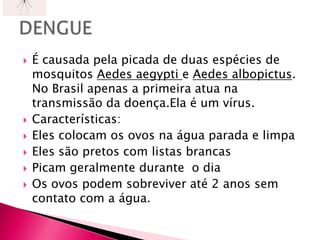 É causada pela picada de duas espécies de mosquitos Aedesaegyptie Aedesalbopictus. No Brasil apenas a primeira atua na transmissão da doença.Ela é um vírus.Características:Eles colocam os ovos na água parada e limpaEles são pretos com listas brancasPicam geralmente durante  o diaOs ovos podem sobreviver até 2 anos sem contato com a água.DENGUE