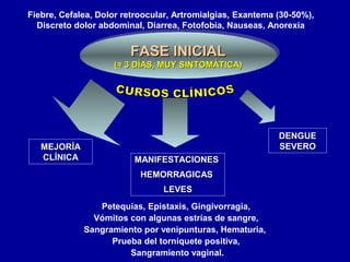 MEJORÍAMEJORÍA
CLÍNICACLÍNICA
DENGUEDENGUE
SEVEROSEVERO
MANIFESTACIONESMANIFESTACIONES
HEMORRAGICASHEMORRAGICAS
LEVESLEVES
Petequias, Epistaxis, Gingivorragia,
Vómitos con algunas estrías de sangre,
Sangramiento por venipunturas, Hematuria,
Prueba del torniquete positiva,
Sangramiento vaginal.
FASE INICIALFASE INICIAL
((≈ 3 DÍAS, MUY SINTOMÁTICA)≈ 3 DÍAS, MUY SINTOMÁTICA)
FASE INICIALFASE INICIAL
((≈ 3 DÍAS, MUY SINTOMÁTICA)≈ 3 DÍAS, MUY SINTOMÁTICA)
Fiebre, Cefalea, Dolor retroocular, Artromialgias, Exantema (30-50%),
Discreto dolor abdominal, Diarrea, Fotofobia, Nauseas, Anorexia
 