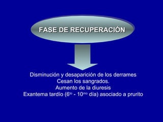 FASE DE RECUPERACIÓNFASE DE RECUPERACIÓNFASE DE RECUPERACIÓNFASE DE RECUPERACIÓN
Disminución y desaparición de los derrames
Cesan los sangrados.
Aumento de la diuresis
Exantema tardío (6to
- 10mo
día) asociado a prurito
 