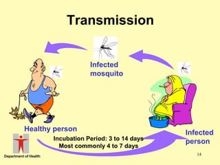 Transmission
Infected
mosquito

Healthy person
Incubation Period: 3 to 14 days
Most commonly 4 to 7 days

Infected
person
14

 