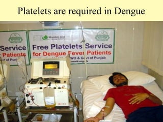 Platelets are required in Dengue

21

 
