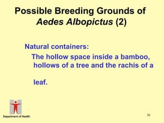 Possible Breeding Grounds of
Aedes Albopictus (2)
Natural containers:
The hollow space inside a bamboo,
hollows of a tree and the rachis of a
leaf.

30

 
