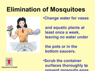 Elimination of Mosquitoes
•Change water for vases
and aquatic plants at
least once a week,
leaving no water under
the pots or in the
bottom saucers.
•Scrub the container
surfaces thoroughly to
33

 