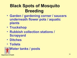 Black Spots of Mosquito
Breeding
• Garden / gardening corner / saucers
underneath flower pots / aquatic
plants
• Truckshop
• Rubbish collection stations /
Scrapyard
• Ditches
• Toilets
• Water tanks / pools
39

 