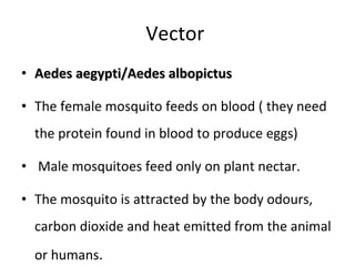 Vector  Aedes aegypti/Aedes albopictus The female mosquito feeds on blood ( they need the protein found in blood to produce eggs) Male mosquitoes feed only on plant nectar.  The mosquito is attracted by the body odours, carbon dioxide and heat emitted from the animal or humans . 