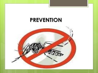 PREVENTION  