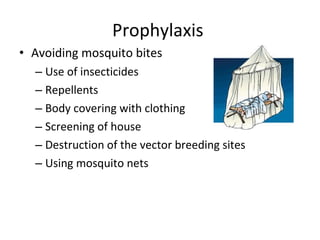 Prophylaxis  Avoiding mosquito bites Use of insecticides Repellents Body covering with clothing Screening of house Destruction of the vector breeding sites Using mosquito nets 