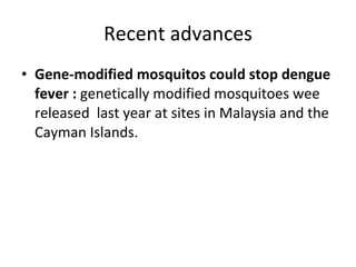 Recent advances Gene-modified mosquitos could stop dengue fever :  genetically modified mosquitoes wee released  last year at sites in Malaysia and the Cayman Islands. 