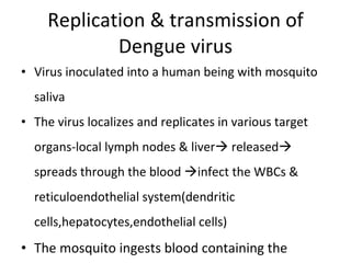 Replication & transmission of Dengue virus Virus inoculated into a human being with mosquito saliva The virus localizes and replicates in various target organs-local lymph nodes & liver   released   spreads through the blood   infect the WBCs &  reticuloendothelial system(dendritic cells,hepatocytes,endothelial cells) The mosquito ingests blood containing the viruses (on biting an infective person) 
