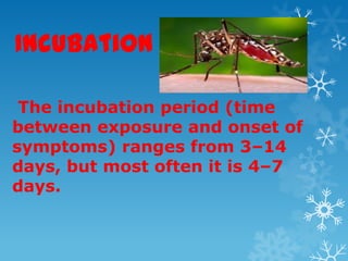 Incubation
The incubation period (time
between exposure and onset of
symptoms) ranges from 3–14
days, but most often it is 4–7
days.
 
