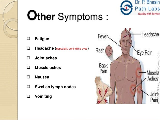 Dengue Spreading : Need to Awake