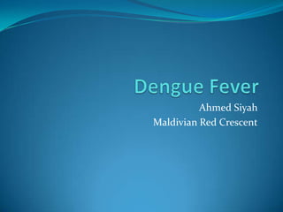 Dengue Fever  Ahmed Siyah Maldivian Red Crescent 