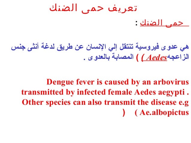 Dengue Fever