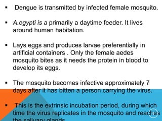  Dengue is transmitted by infected female mosquito.
A.egypti is a primarily a daytime feeder. It lives
around human habitation.
Lays eggs and produces larvae preferentially in
artificial containers . Only the female aedes
mosquito bites as it needs the protein in blood to
develop its eggs.
The mosquito becomes infective approximately 7
days after it has bitten a person carrying the virus.
This is the extrinsic incubation period, during which
time the virus replicates in the mosquito and reaches9