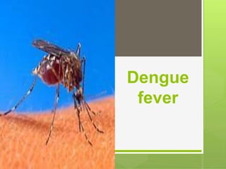 Dengue
fever
 