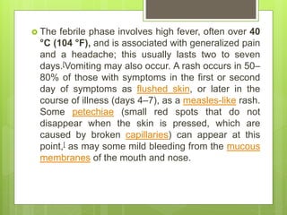  The febrile phase involves high fever, often over 40
°C (104 °F), and is associated with generalized pain
and a headache; this usually lasts two to seven
days.[Vomiting may also occur. A rash occurs in 50–
80% of those with symptoms in the first or second
day of symptoms as flushed skin, or later in the
course of illness (days 4–7), as a measles-like rash.
Some petechiae (small red spots that do not
disappear when the skin is pressed, which are
caused by broken capillaries) can appear at this
point,[ as may some mild bleeding from the mucous
membranes of the mouth and nose.
 