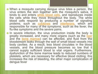  When a mosquito carrying dengue virus bites a person, the
virus enters the skin together with the mosquito's saliva. It
binds to and enters white blood cells, and reproduces inside
the cells while they move throughout the body. The white
blood cells respond by producing a number of signaling
proteins, such as cytokines and interferons, which are
responsible for many of the symptoms, such as the fever, the
flu-like symptoms and the severe pains.
 In severe infection, the virus production inside the body is
greatly increased, and many more organs (such as the liver
and the bone marrow) can be affected, and fluid from the
bloodstream leaks through the wall of small blood vessels into
body cavities. As a result, less blood circulates in the blood
vessels, and the blood pressure becomes so low that it
cannot supply sufficient blood to vital organs. Furthermore,
dysfunction of the bone marrow leads to reduced numbers of
platelets, which are necessary for effective blood clotting; this
increases the risk of bleeding, the other major complication of
dengue fever
 