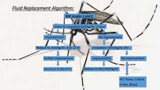 Dengue Fever | PPTX