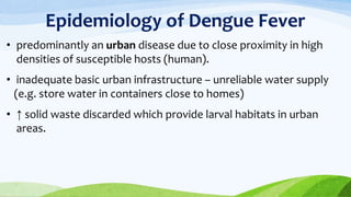 Epidemiology of Dengue Fever
• predominantly an urban disease due to close proximity in high
densities of susceptible hosts (human).
• inadequate basic urban infrastructure – unreliable water supply
(e.g. store water in containers close to homes)
• ↑ solid waste discarded which provide larval habitats in urban
areas.
 
