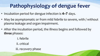 Pathophysiology of dengue fever
• Incubation period for dengue infection is 4–7 days.
• May be asymptomatic or from mild febrile to severe, with / without
plasma leakage and organ impairment.
• After the incubation period, the illness begins and followed by
three phases:
i. febrile
ii. critical
iii. recovery phase
 