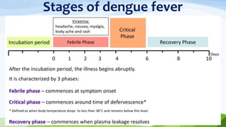 Stages of dengue fever
 