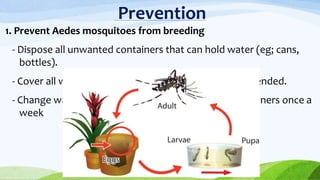 Prevention
1. Prevent Aedes mosquitoes from breeding
- Dispose all unwanted containers that can hold water (eg; cans,
bottles).
- Cover all water containers, add larvicides, as recommended.
- Change water and scrub the insides of all water containers once a
week
 