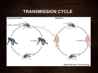 TRANSMISSION CYCLE
 