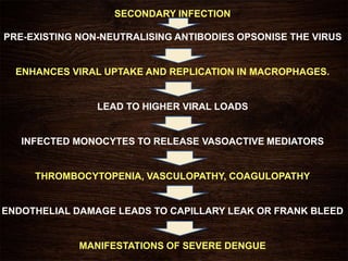 SECONDARY INFECTION
PRE-EXISTING NON-NEUTRALISING ANTIBODIES OPSONISE THE VIRUS
ENHANCES VIRAL UPTAKE AND REPLICATION IN MACROPHAGES.
LEAD TO HIGHER VIRAL LOADS
INFECTED MONOCYTES TO RELEASE VASOACTIVE MEDIATORS
THROMBOCYTOPENIA, VASCULOPATHY, COAGULOPATHY
ENDOTHELIAL DAMAGE LEADS TO CAPILLARY LEAK OR FRANK BLEED
MANIFESTATIONS OF SEVERE DENGUE
 