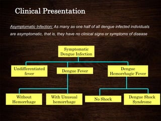 Symptomatic
Dengue Infection
Undifferentiated
fever
Dengue Fever
Dengue
Hemorrhagic Fever
Without
Hemorrhage
With Unusual
hemorrhage
No Shock
Dengue Shock
Syndrome
Clinical Presentation
Asymptomatic Infection: As many as one half of all dengue infected individuals
are asymptomatic, that is, they have no clinical signs or symptoms of disease
 