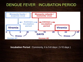 Incubation Period : Commonly, it is 5-6 days ( 3-10 days )
DENGUE FEVER : INCUBATION PERIOD
 