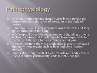  When mosquito carrying dengue virus bites a person the
virus enters from the saliva of mosquito to the body of
person.
 It binds to the WBC and reproduce inside the cells and they
spreed throughout the body.
 WBC respond by producing a number of signaling proteins
such as cytokines and interferon which are responsible for
the many of the symptoms such as fever and pain.
 In sever infections the virus production is greatly increased
and many more organs such as liver and bone marrow
affected..
 Fluid leaks through wall of blood vessels into body cavities
due to capillary permeability leads to Hct. Changes.
 