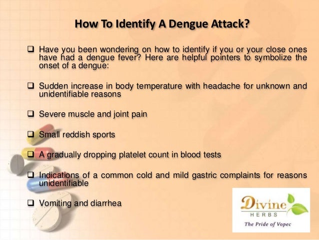 what is dengue fever pdf