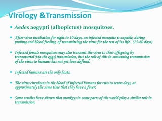 Virology &Transmission
 Aedes aegypti (albopictus) mosquitoes.
 After virus incubation for eight to 10 days, an infected mosquito is capable, during
probing and blood feeding, of transmitting the virus for the rest of its life. (15-60 days)
 Infected female mosquitoes may also transmit the virus to their offspring by
transovarial (via the eggs) transmission, but the role of this in sustaining transmission
of the virus to humans has not yet been defined.
 Infected humans are the only hosts.
 The virus circulates in the blood of infected humans for two to seven days, at
approximately the same time that they have a fever;
 Some studies have shown that monkeys in some parts of the world play a similar role in
transmission.
 