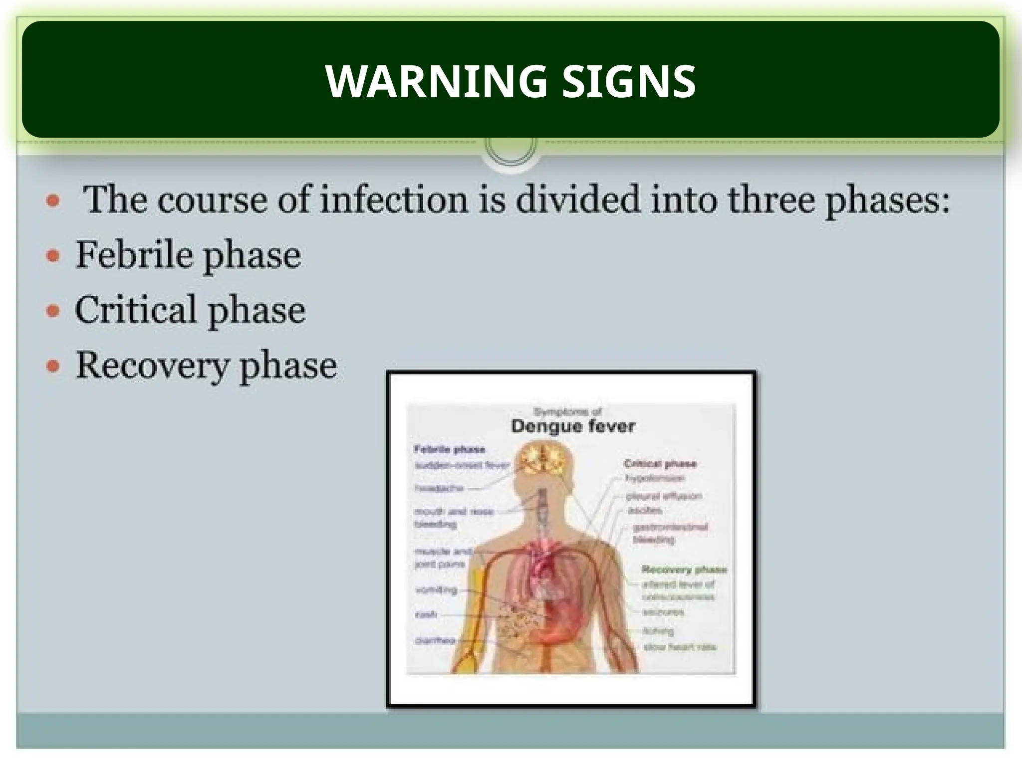 WARNING SIGNS