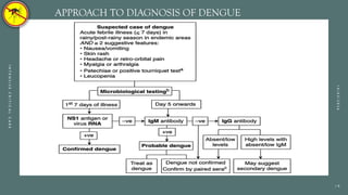 Comprehensive Overview of Dengue Fever: Epidemiology, Pathophysiology ...