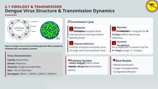 Comprehensive Overview of Dengue Fever: Epidemiology, Pathophysiology ...