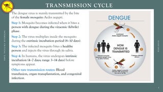 Comprehensive Overview of Dengue Fever: Epidemiology, Pathophysiology ...