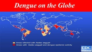 Dengue on the Globe
 