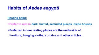 Habits of Aedes aegypti
Resting habit:
 Prefer to rest in dark, humid, secluded places inside houses
 Preferred indoor resting places are the underside of
furniture, hanging cloths, curtains and other articles.
 