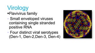 Virology
Flavivirus family
 Small enveloped viruses
containing single stranded
positive RNA
 Four distinct viral serotypes
(Den-1, Den-2,Den-3, Den-4)
 