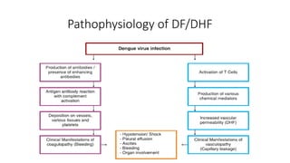 Pathophysiology of DF/DHF
 