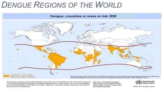 DENGUE REGIONS OF THE WORLD
2018
 