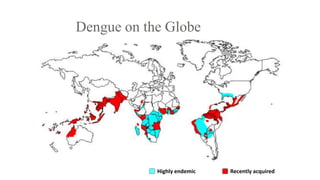 Dengue on the Globe
Recently acquiredHighly endemic
 