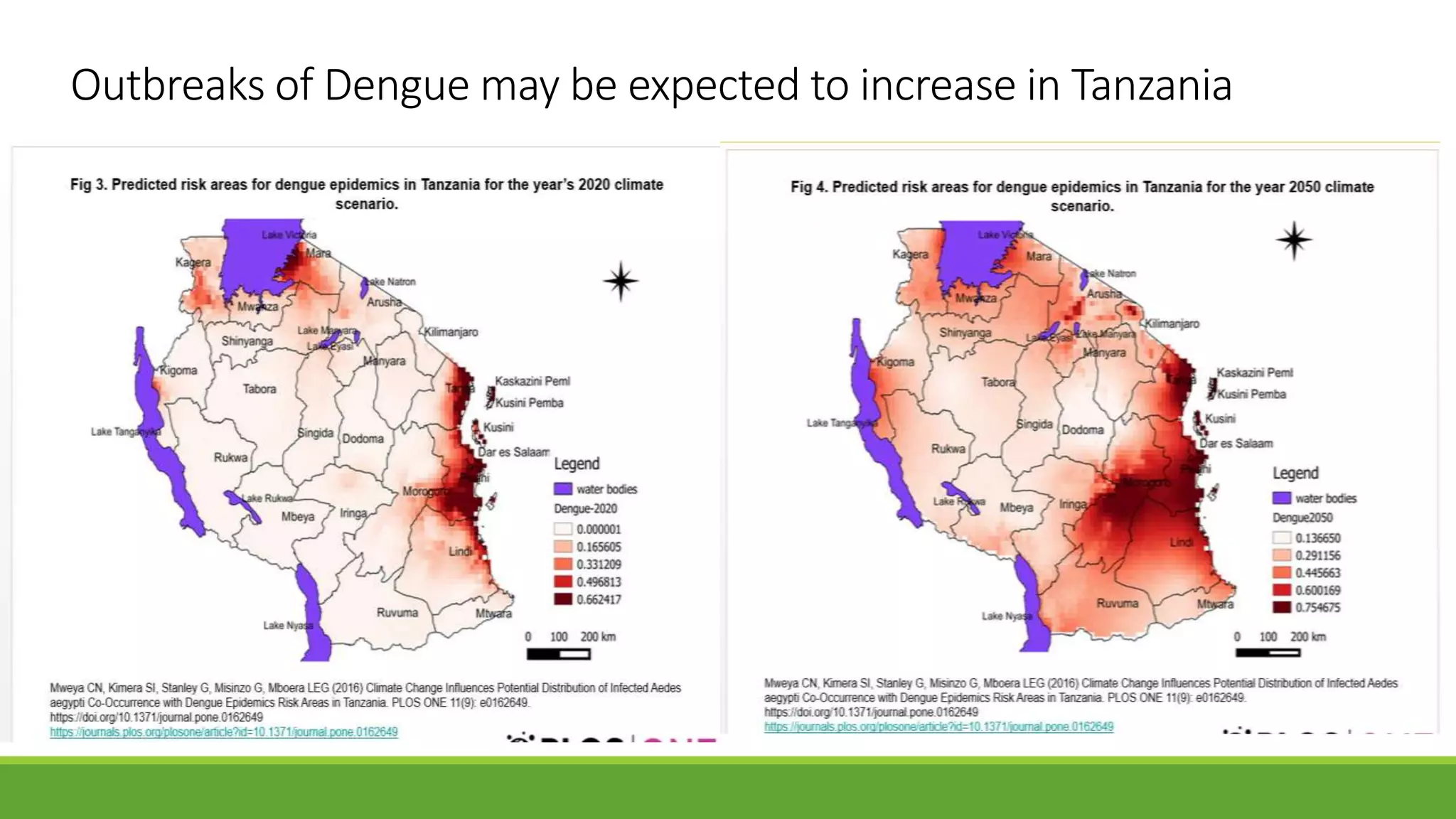 Dengue fever in children 2019 by Dr Kibogoyo | PPTX | Infectious ...