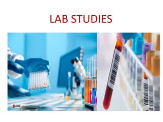 LAB STUDIES
 