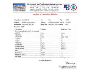 Dengue fever -more than enough information and what you need to know