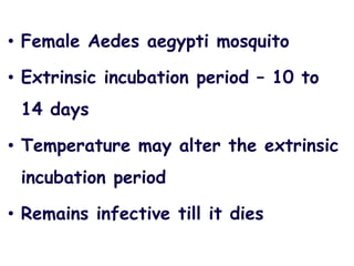 • Female Aedes aegypti mosquito
• Extrinsic incubation period – 10 to
14 days
• Temperature may alter the extrinsic
incubation period
• Remains infective till it dies
 