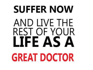 Dengue fever -more than enough information and what you need to know