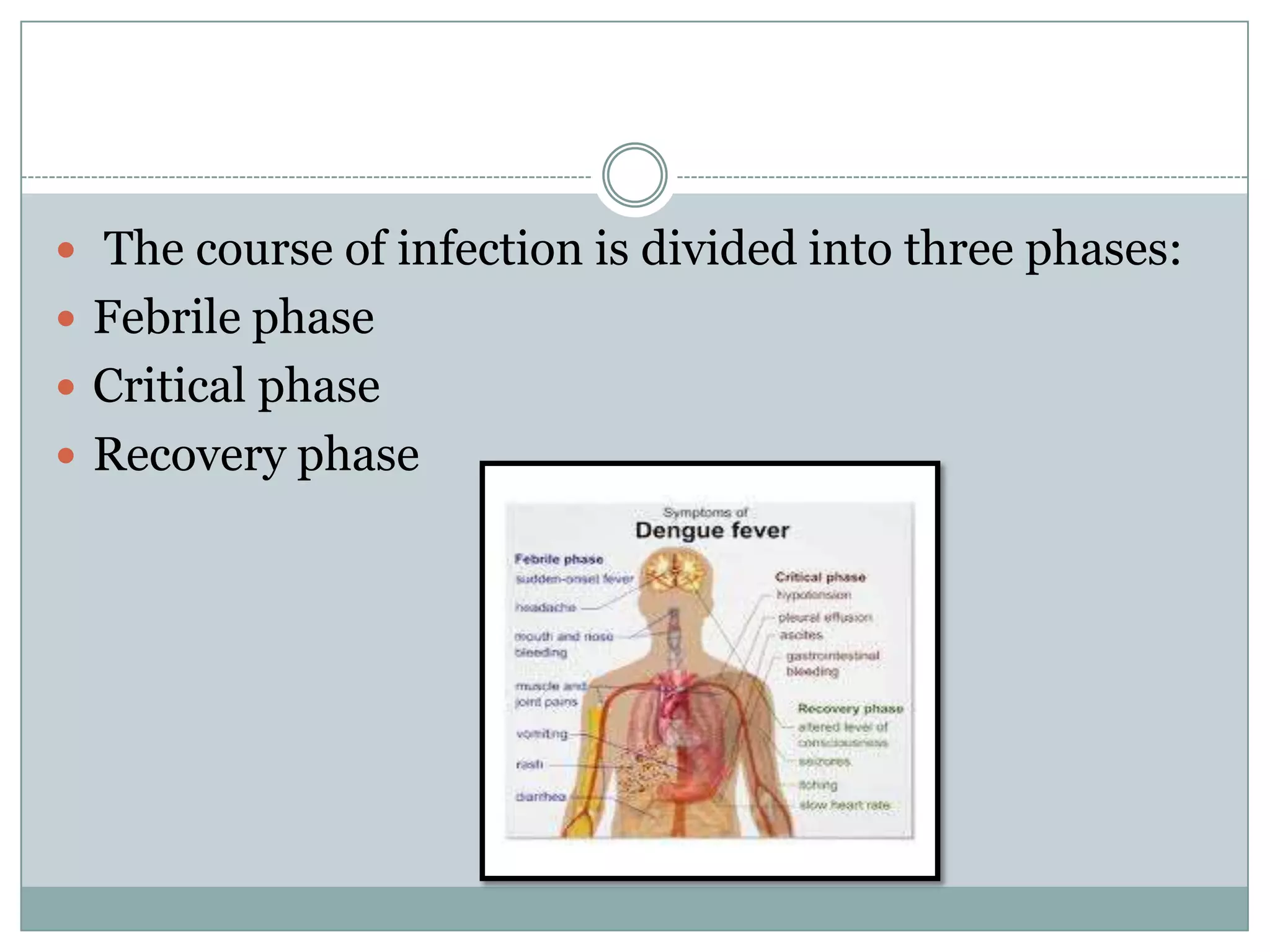  The course of infection is divided into three phases:
 Febrile phase
 Critical phase
 Recovery phase
 