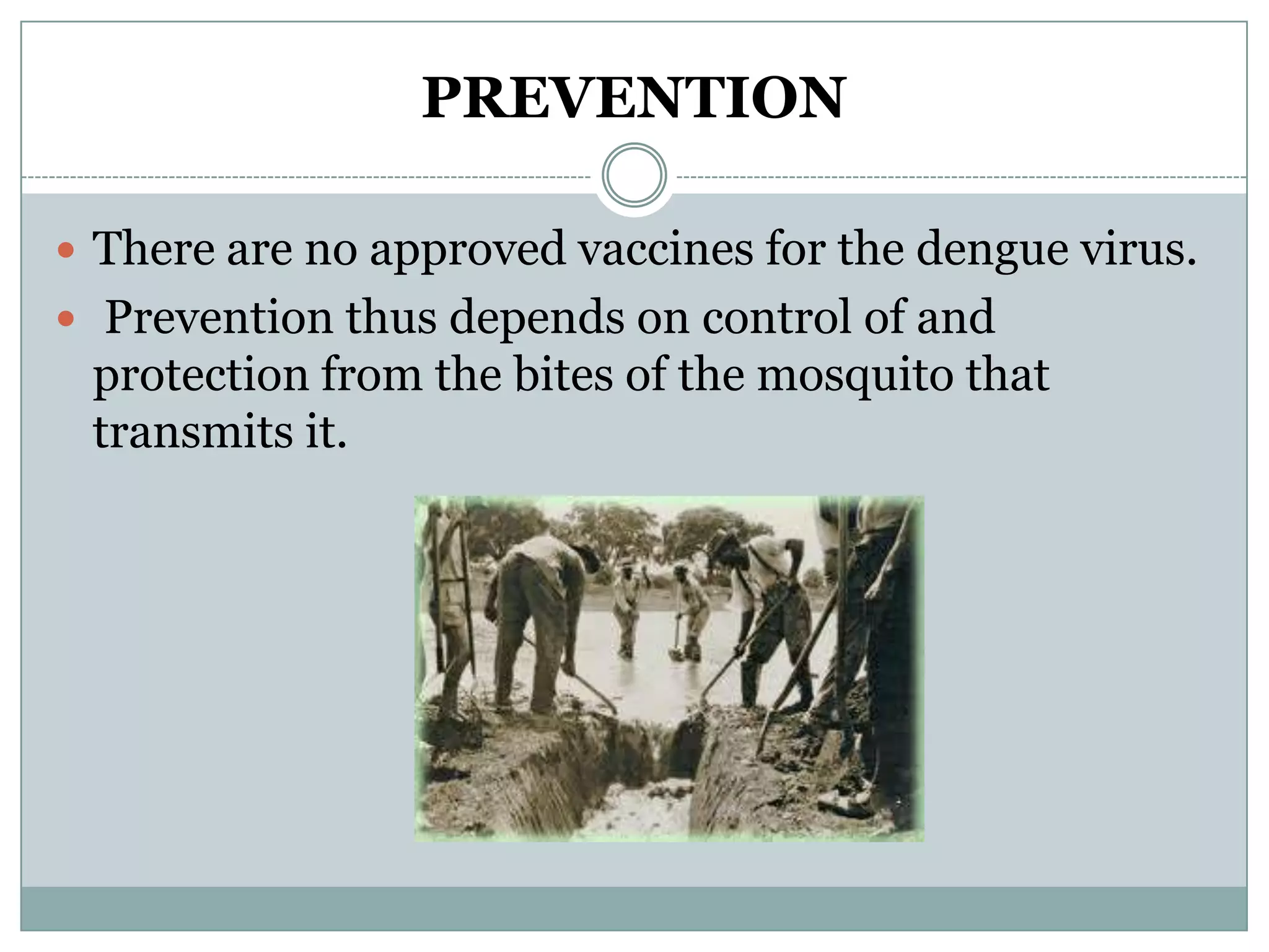 PREVENTION

 There are no approved vaccines for the dengue virus.
 Prevention thus depends on control of and
 protection from the bites of the mosquito that
 transmits it.
 